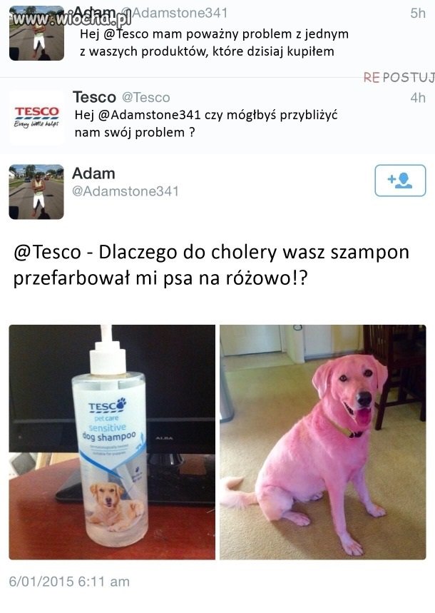 Jaki szampon taki efekt