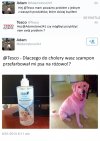 Jaki szampon taki efekt