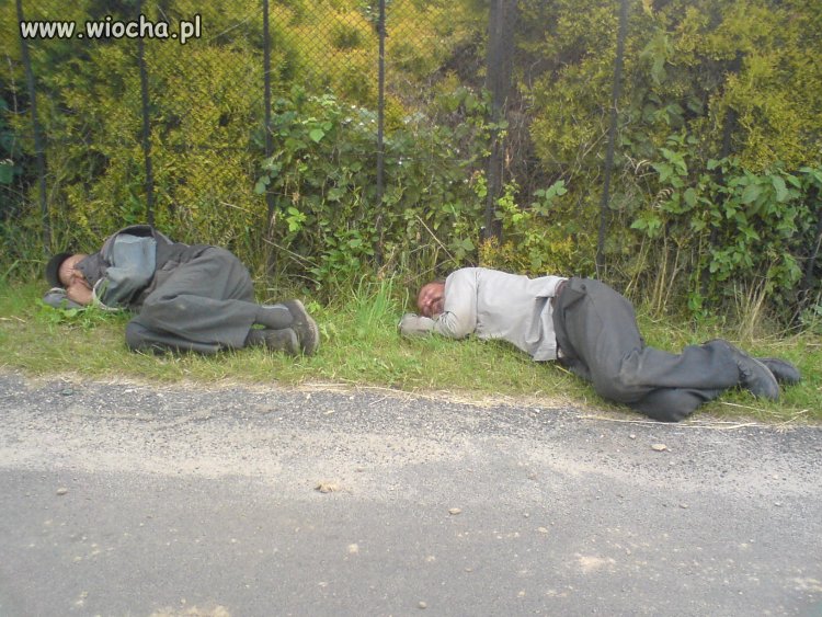 Zmęczenie
