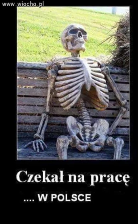 CZEKAŁ ! 