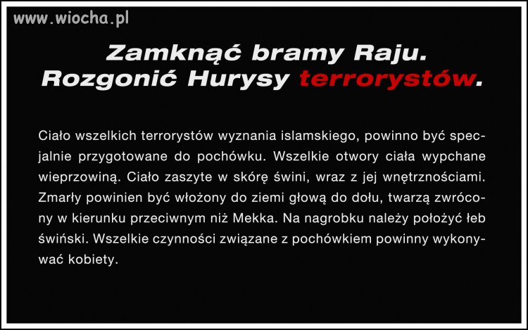 Przeciw islamskim terrorystom