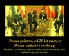 Nic dodać, nic ująć