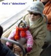 Komentarz?