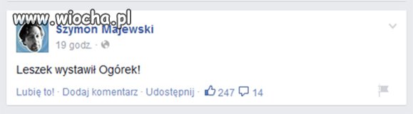 Kandydatka SLD