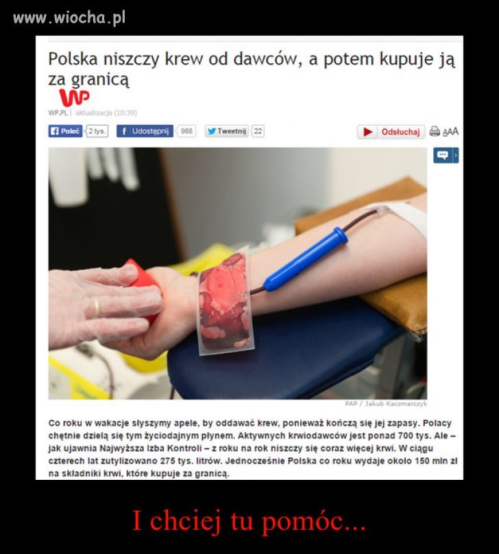 Lepsza krew od Niemca 