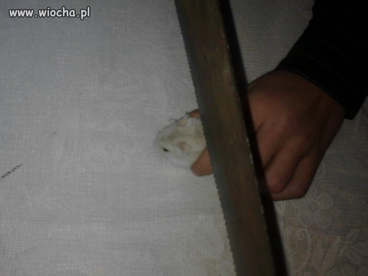 Znalezione na FB