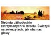 Barbarzyńcy  
