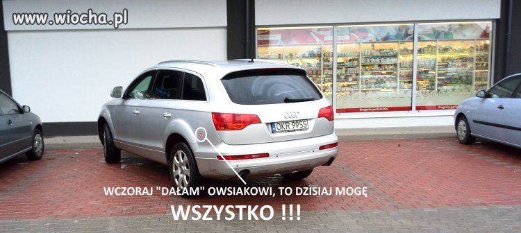 Janusze- parkowanie "blond"