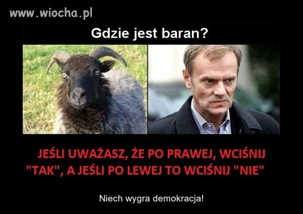 GDZIE JEST BARAN?