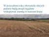 Grabieży ciąg dalszy...