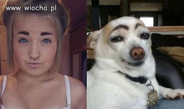 Znajdź różnice ;-)
