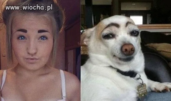 Znajdź różnice ;-)