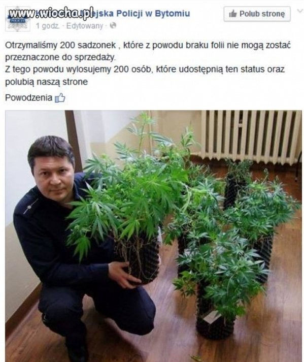 Taki tam policyjny