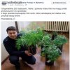 Taki tam policyjny
