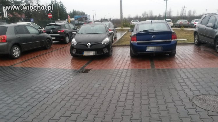 Mistrzowie parkowania