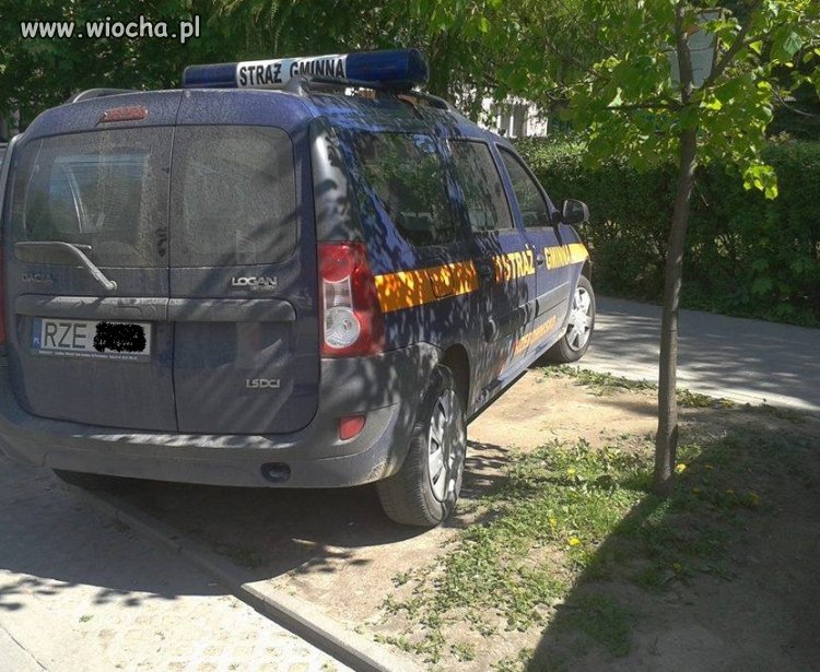 Polska... Straż Gminna/Miejska...