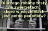 Czas na zmiany
