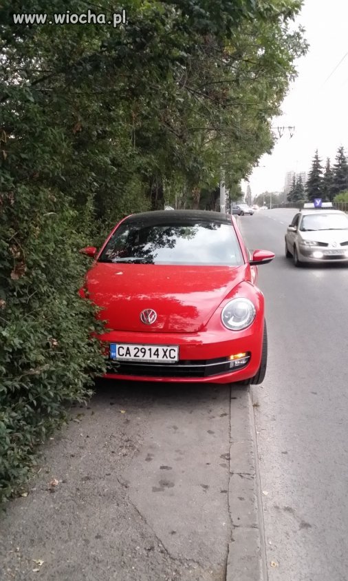 Wielki parking.