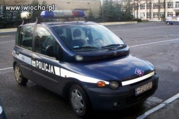 Multipolicja