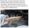 Spec mechanik