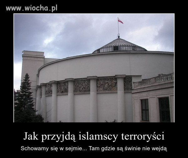 Jak przyjdą islamscy terroryści  