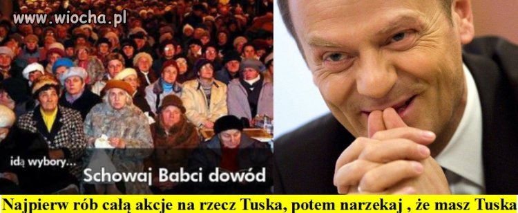 Mentalność cebulaków