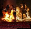I tylko konia żal