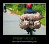 Świniotorpedy