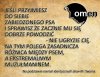 Dlatego pies jest przyjacielem człowieka 