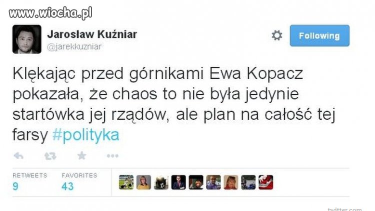 Psy zaczynają się gryźć między sobą