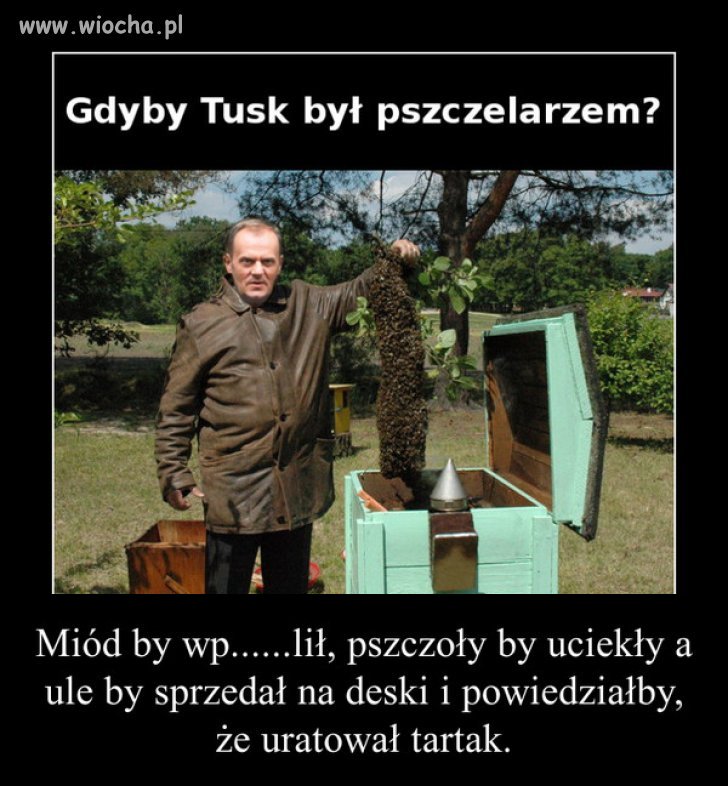No chyba, że pszczoły by były niemieckie 
