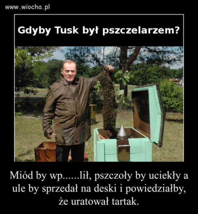 No chyba, że pszczoły by były niemieckie 