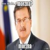 Sprzedawanie polskich lasów