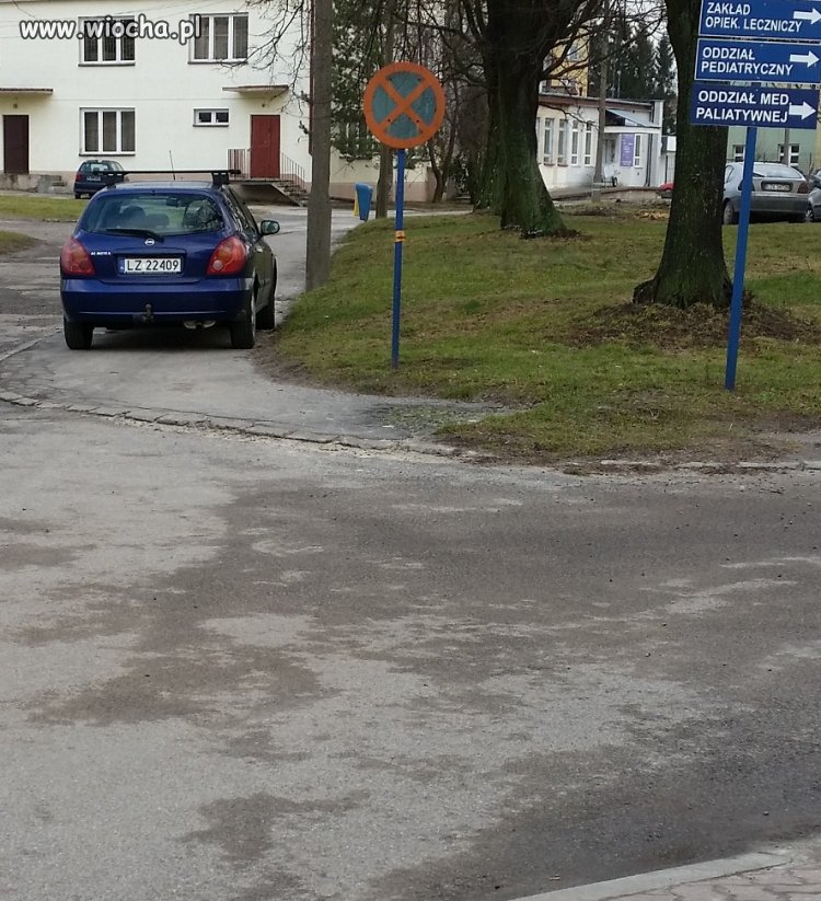 Mistrz parkowania