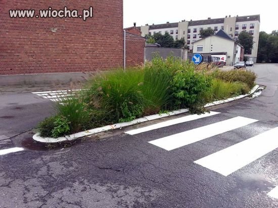 Ciekawe przejście