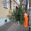 Szczyt lenistwa