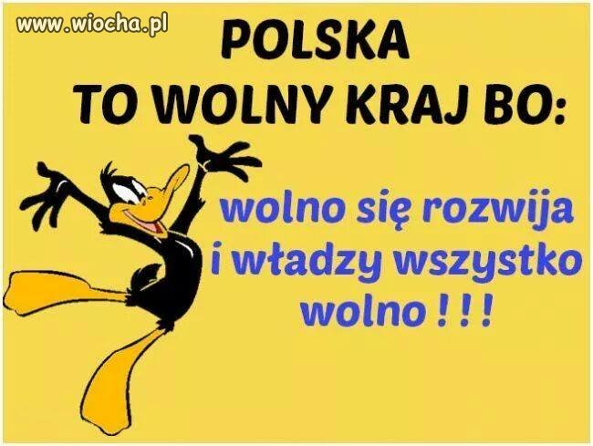POLSKA TO WOLNY KRAJ