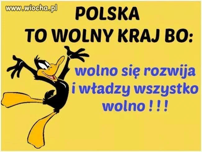 POLSKA TO WOLNY KRAJ