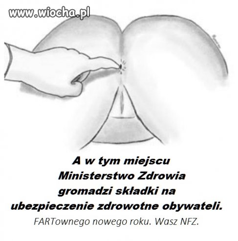 Krótki opis finansowania Służby Zdrowia.