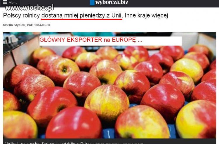 Kierowcy BEZ PODWYŻEK - załatwili KOPACZ