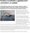 A tymczasem w nowojorskim szpitalu