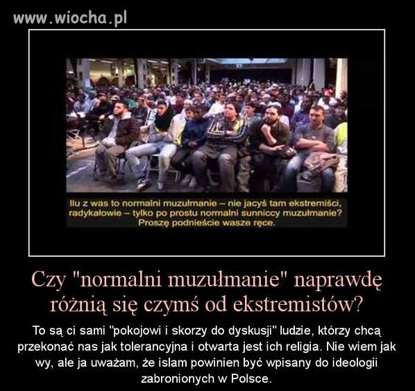 Uważam że nie ma dobrych muzułmanów