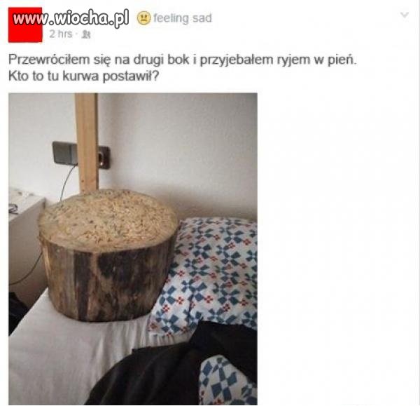 Pień