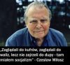 Prawidłowo