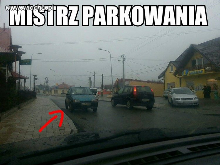 Mistrz parkowania...