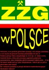 Związki Zawodowe Górnictwa w Polsce