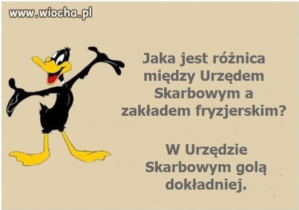 Różnica jest ogromna.