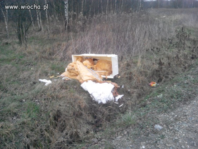 Tylko dla buraków las to śmietnik 