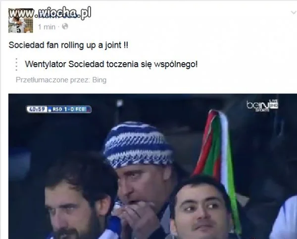 Tłumacz bing