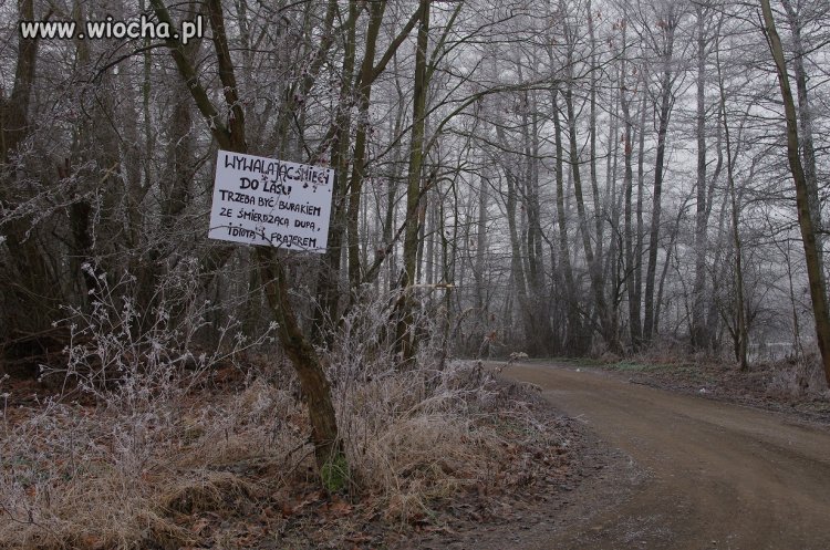 Bo porządek musi być. 